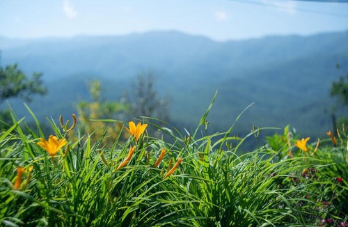 Gatlinburg - Pigeon Forge House | Smoky Mountain Dream Cabin