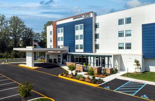 Dover Hotel | SpringHill Suites by Marriott Frederica