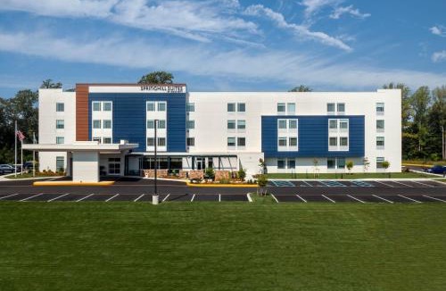 Dover Hotel | SpringHill Suites by Marriott Frederica
