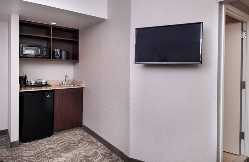 North Shore Hotel | Springhill Suites by Marriott Pittsburgh North Shore