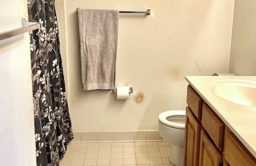 Northeast Apartment | Sunfilled studio space with Laundry and WiFi in charming DC