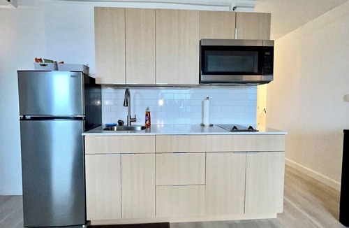Downtown Baltimore Apartment | Sweet Landing, WiFi, fitness room in Baltimore 1650/Month