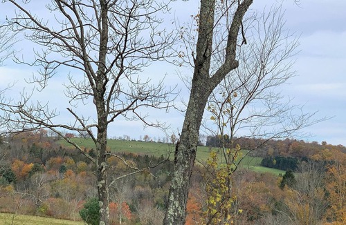 Town of Delaware RV Rental | Tentrr Signature Site - Fields of Dreams at Callicoon