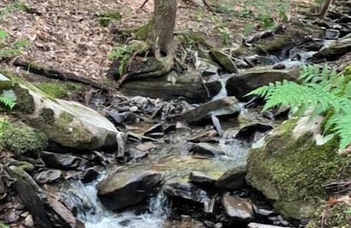 Swan Lake RV Rental | Tentrr Signature Site - Twin Creeks Signature Campsite