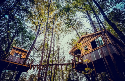 Stonewall Cabin | The Aliyah Treehouse with swinging bridge +285 acres hiking trails