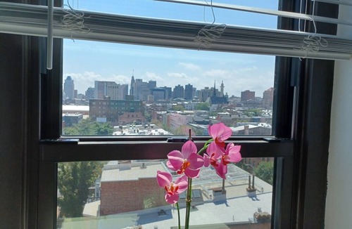 Mount Vernon Condo | THE VIEW in Mt.Vernon