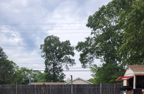 Absecon Other | This Ranch style home is equipped with a beautiful pool, patio, BBQ and more