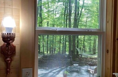 Oliverea House | Tiny Cat Tiny House