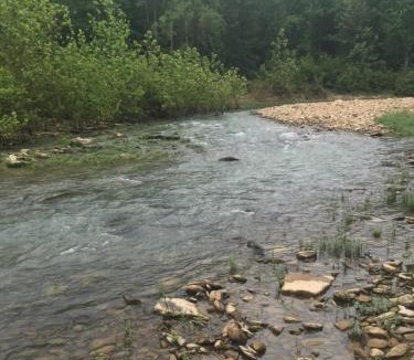 Pelsor Other | Toms Branch Campground