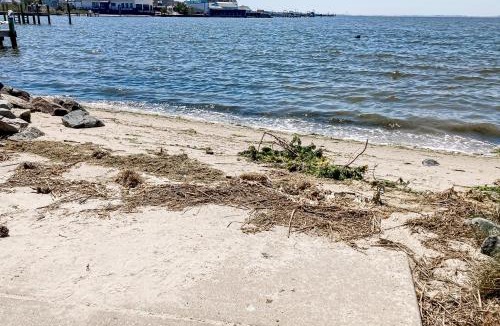 Seabreeze House | Town of Dewey Beach - 309 Salisbury