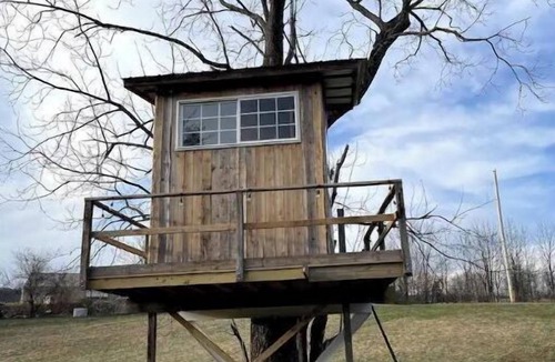 Pine Grove Cabin | Treehouse at Fairview Farms