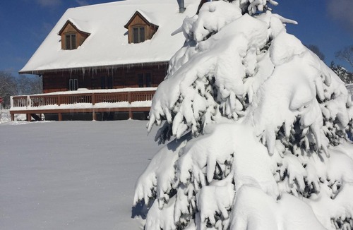 Ellicottville Ski Chalet | UNIQUE Log Style Cozy Ski Chalet - Walking Distance To Town - Pets Welcome