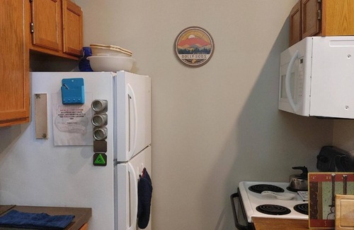 Northface Condo | Walk to Dolly Sods, Enjoy Mountain Views + Gas Fireplace & Jacuzzi Tub! 3rd Fl.
