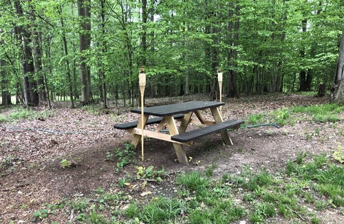 Portland Mills House | Welcome to the Lake City Cabin!