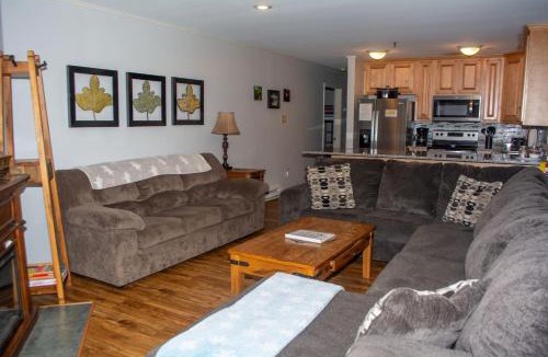 Ghent Apartment | Winterplace Ski in Ski out condo First Floor D103