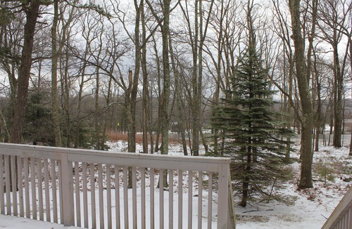 Hawley House | Woodland Blue Chalet Retreat