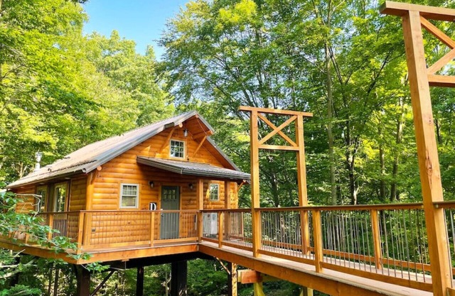 Treehouse 