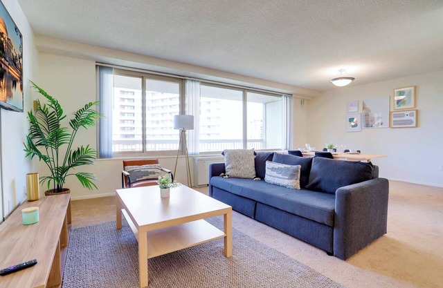 Stylish DC Area Apartment