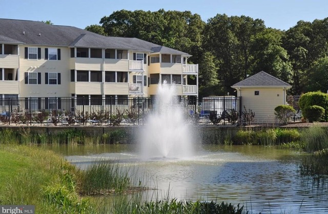 The Palms Rehoboth Beach 