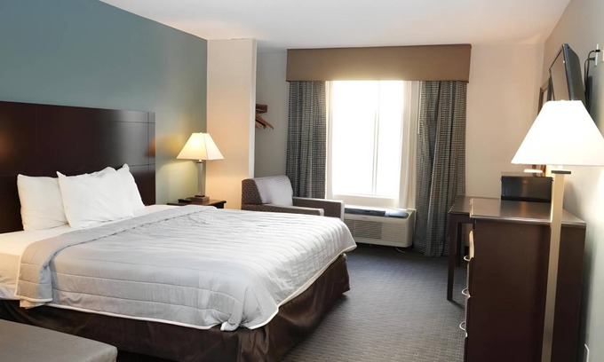 Montrose Hotel | 17 m² Hotel ∙ 8 guests