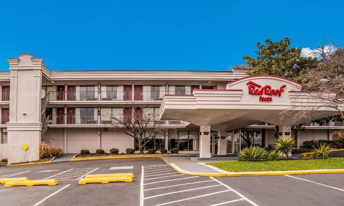 Ferndale Hotel | 30 m² Hotel ∙ 127 guests