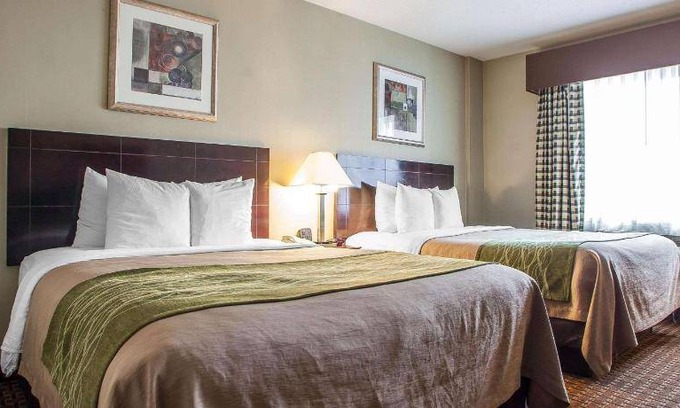 Point Pleasant - Toms River Hotel | 33 m² Hotel ∙ 6 guests