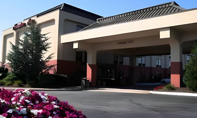Milnesville Hotel | 55 m² Hotel ∙ 127 guests