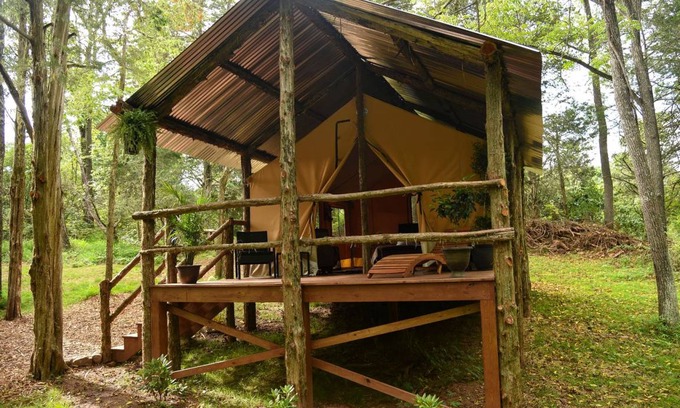 Dover Other | Camping ∙ 1 bedroom ∙ 2 guests