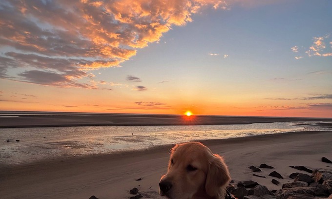 North Wildwood Condo | Sunrise Views Every Morning! 2 Bedroom 2 Bath
