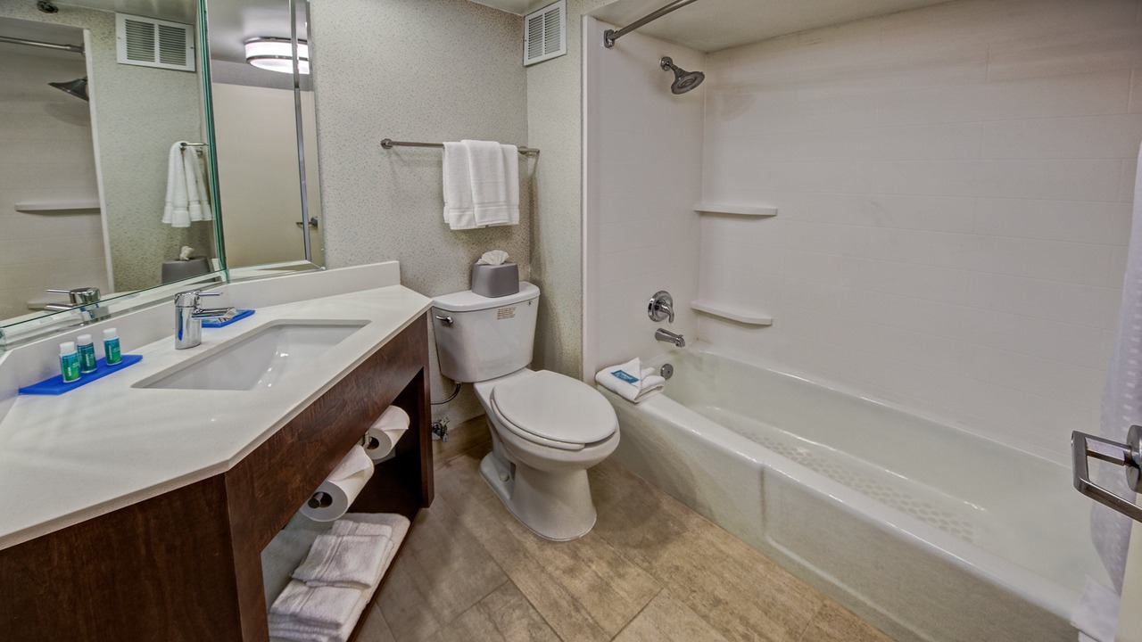Photo of Bathroom in New Pathways