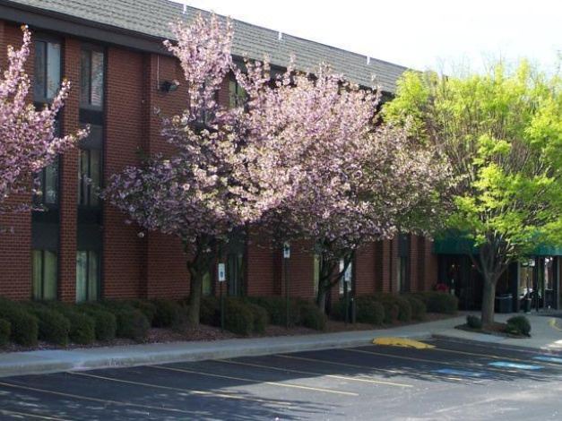 Photo of Buildings in Westminster