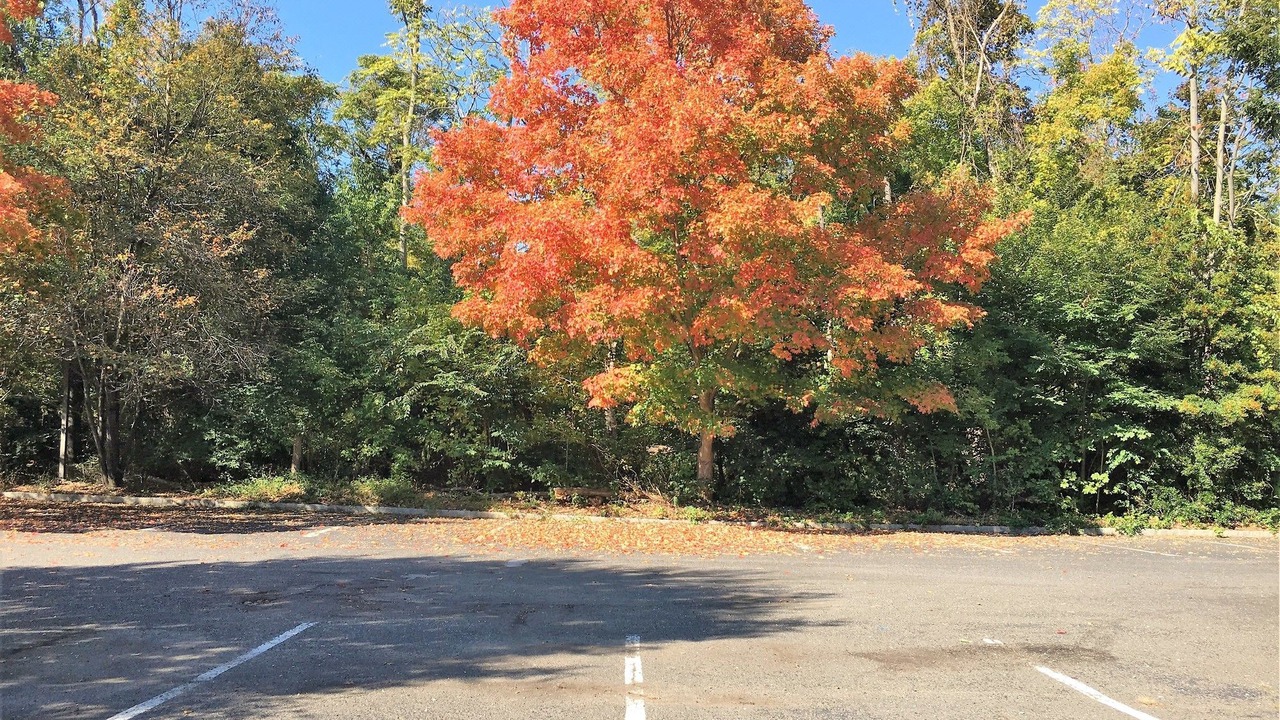 Photo of Outdoor in Colts Neck