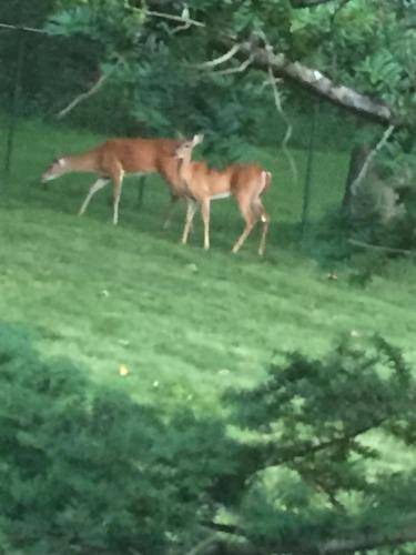 Photo of Others in Solon
