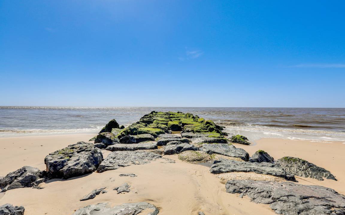 Photo of Others in Cape May Point