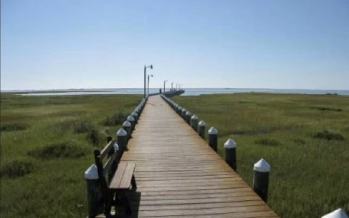 Photo of Others in Assateague Pointe