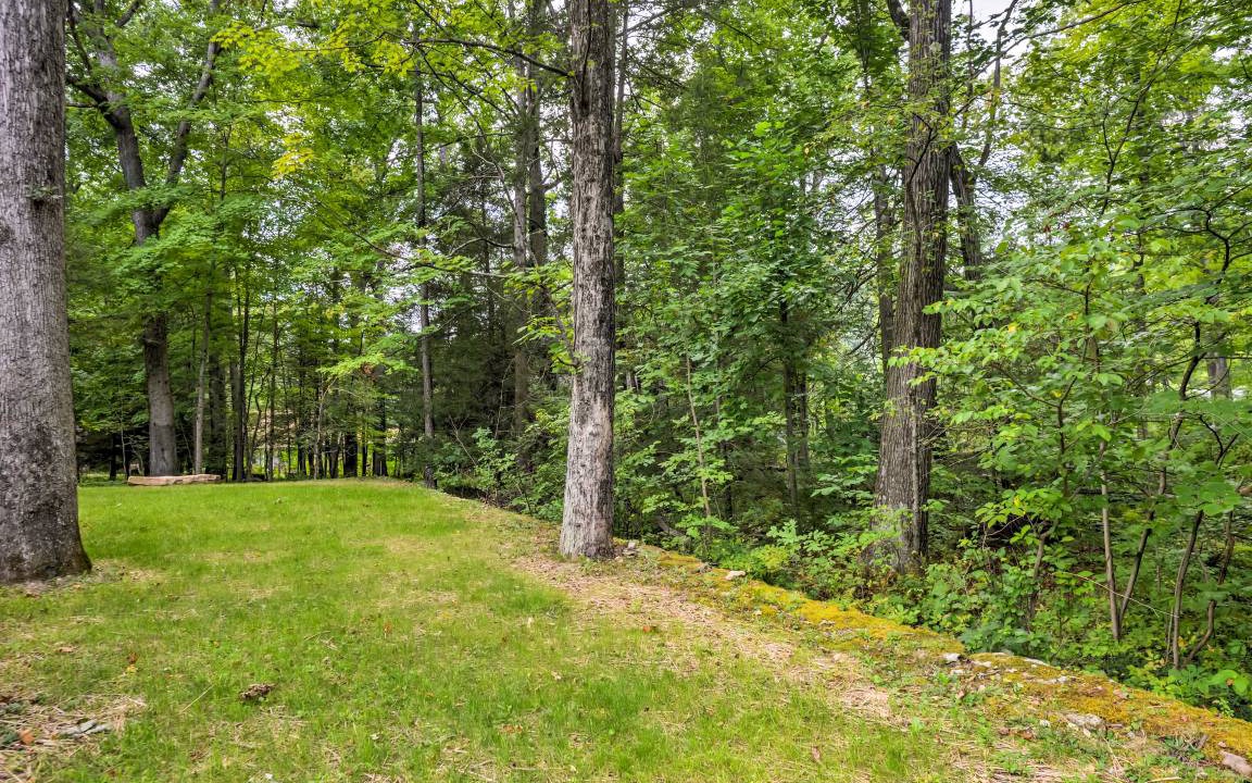 Photo of Others in Laurel Mountain
