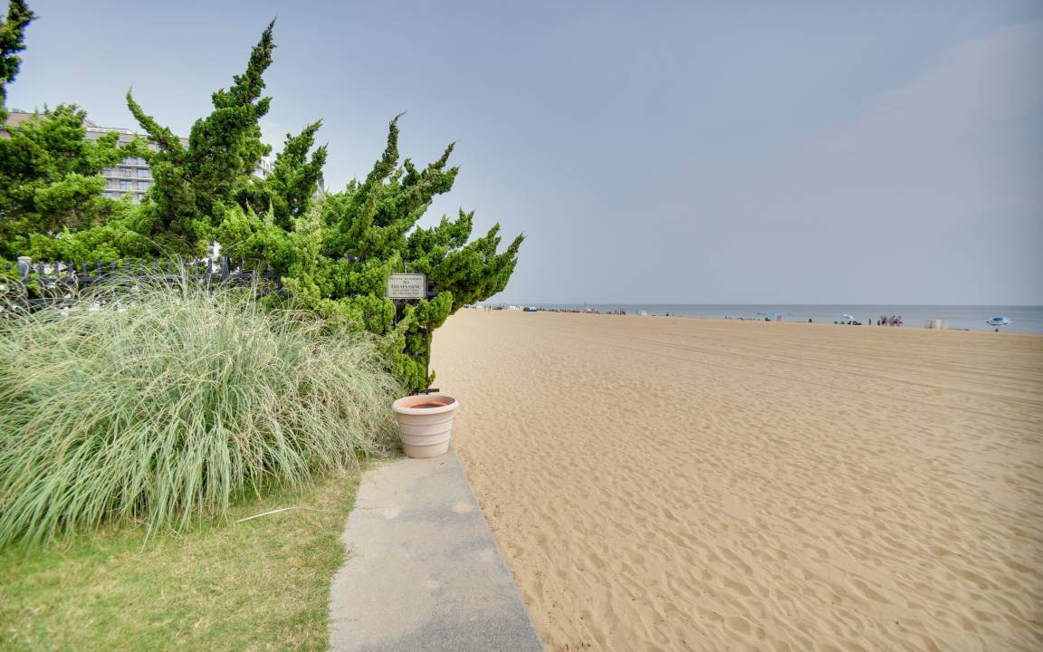 Photo of Others in Northeast Virginia Beach