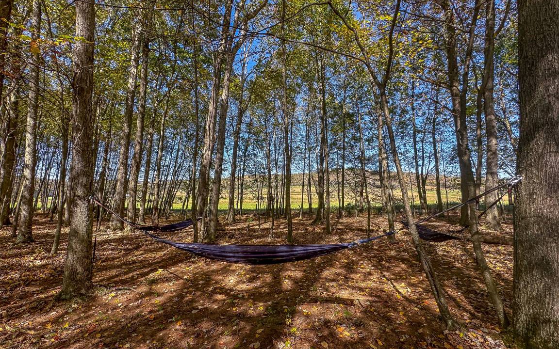 Photo of Others in North Glade Hills
