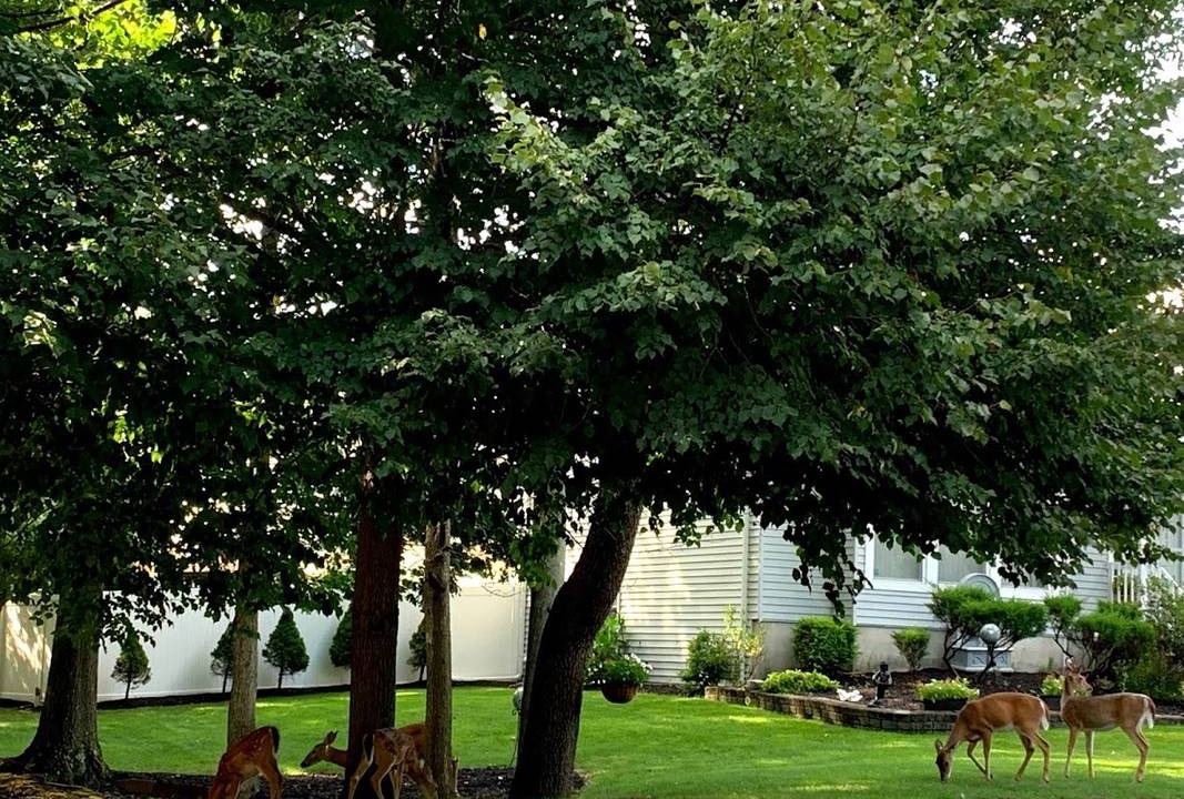 Photo of Others in Penns Park