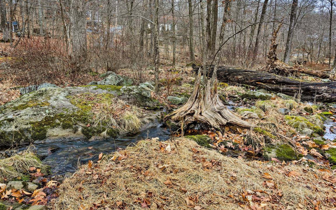 Photo of Others in Bushkill