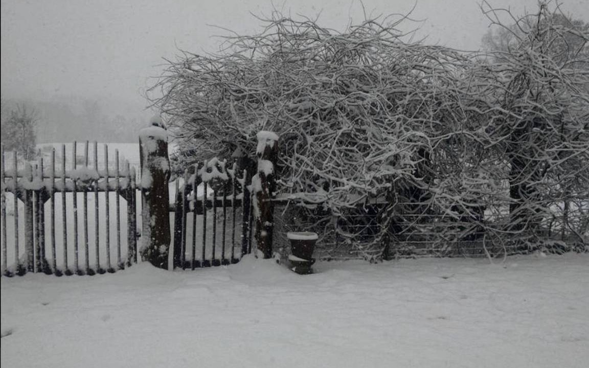 Photo of Others in Sparta