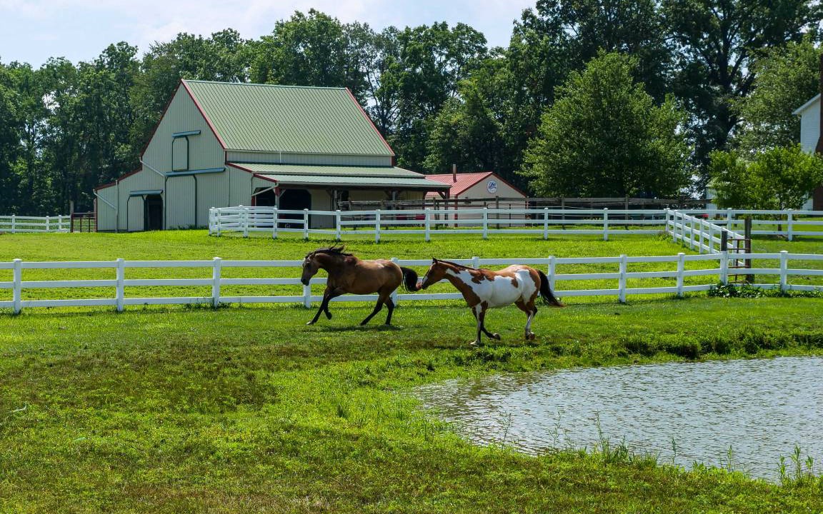 Photo of Others in Perrysville