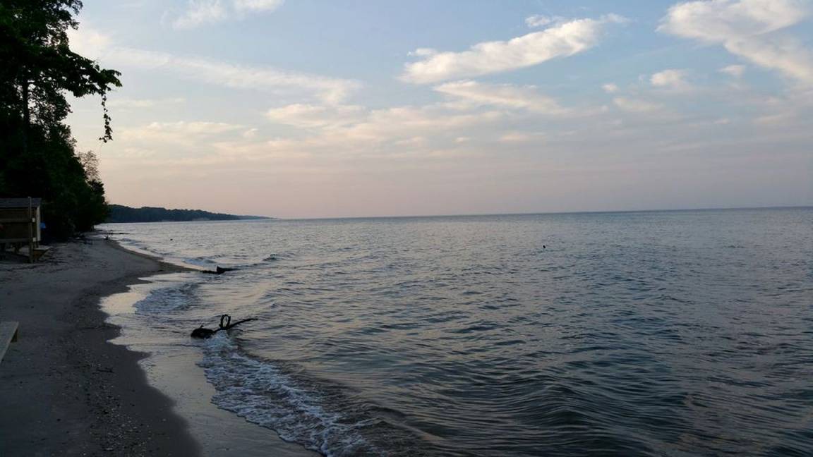 Photo of Others in Port Republic