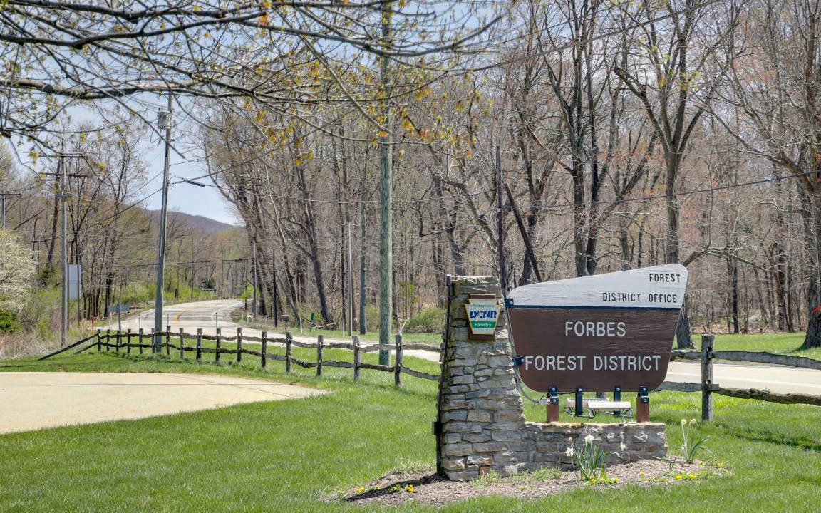 Photo of Others in Laurel Mountain