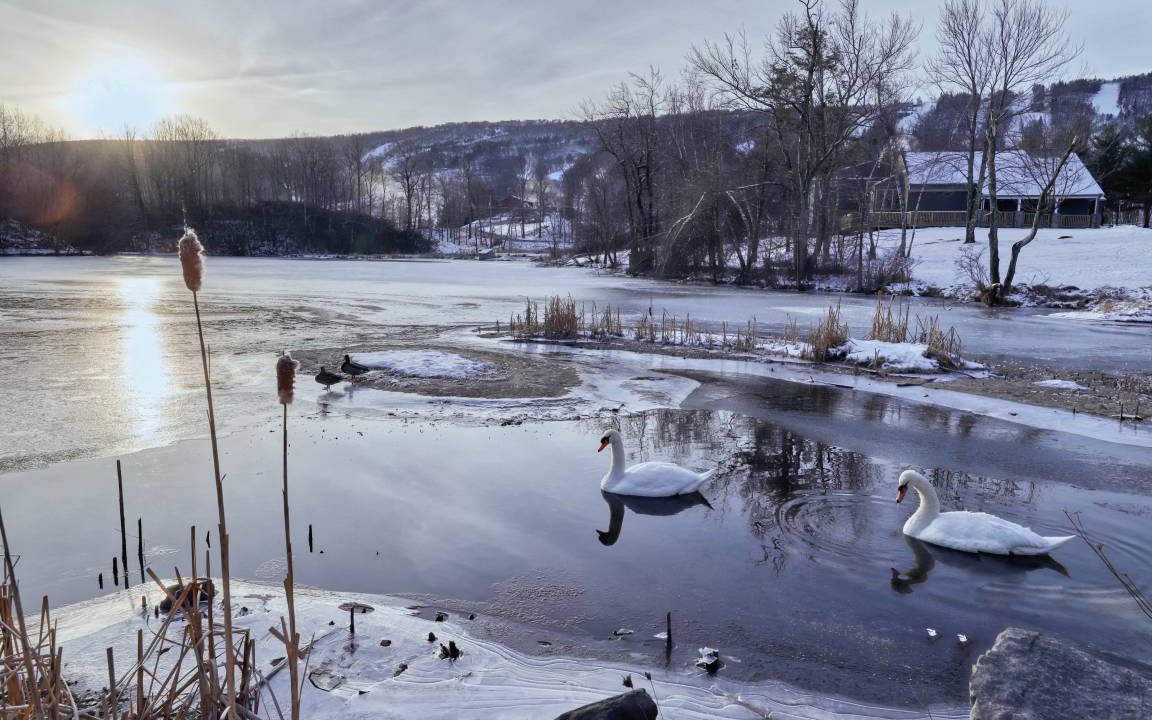 Photo of Others in Tannersville
