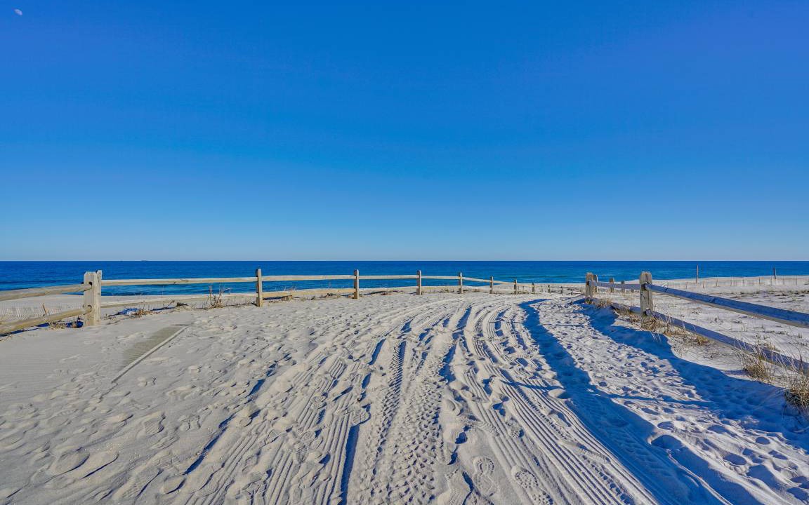 Photo of Others in Lavallette