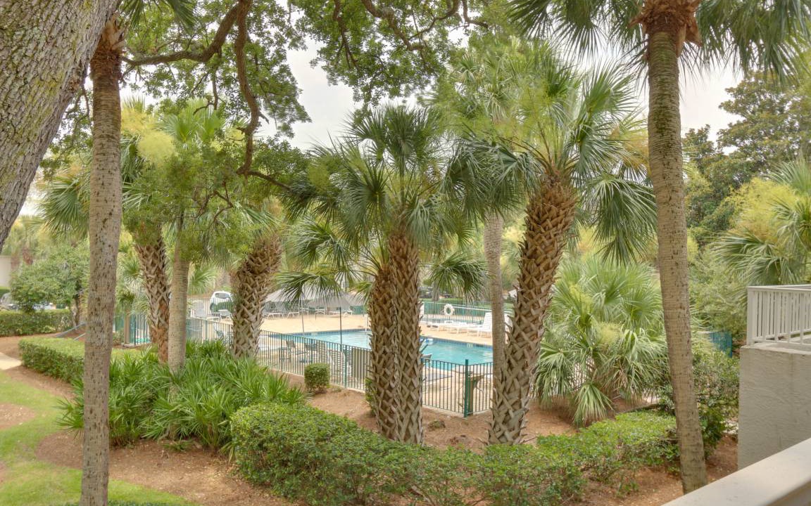 Photo of Others in Palmetto Dunes