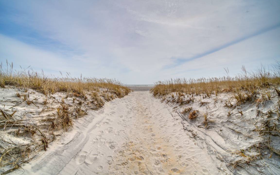 Photo of Others in Brigantine