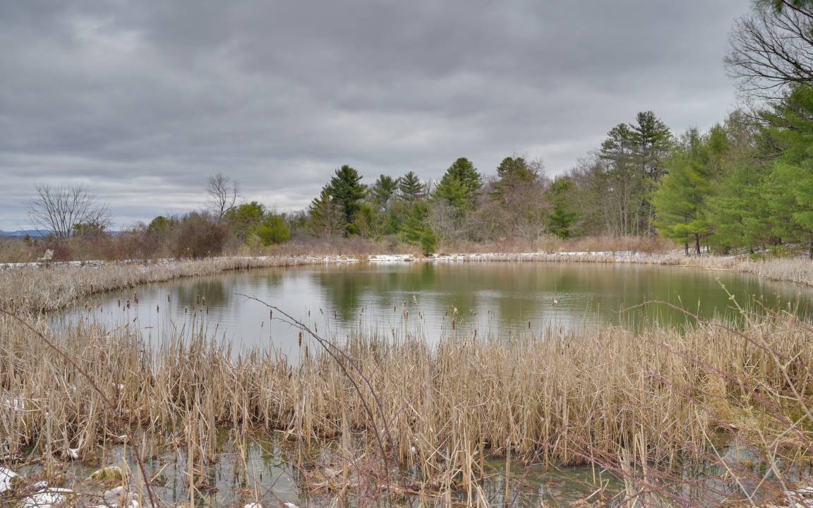 Photo of Others in Pine Grove Mills