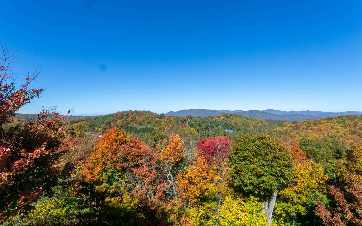 Photo of Others in Boone